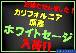 大変お待たせいたしました★浄化用・高品質ホワイトセージ販売中★彡大人気です！